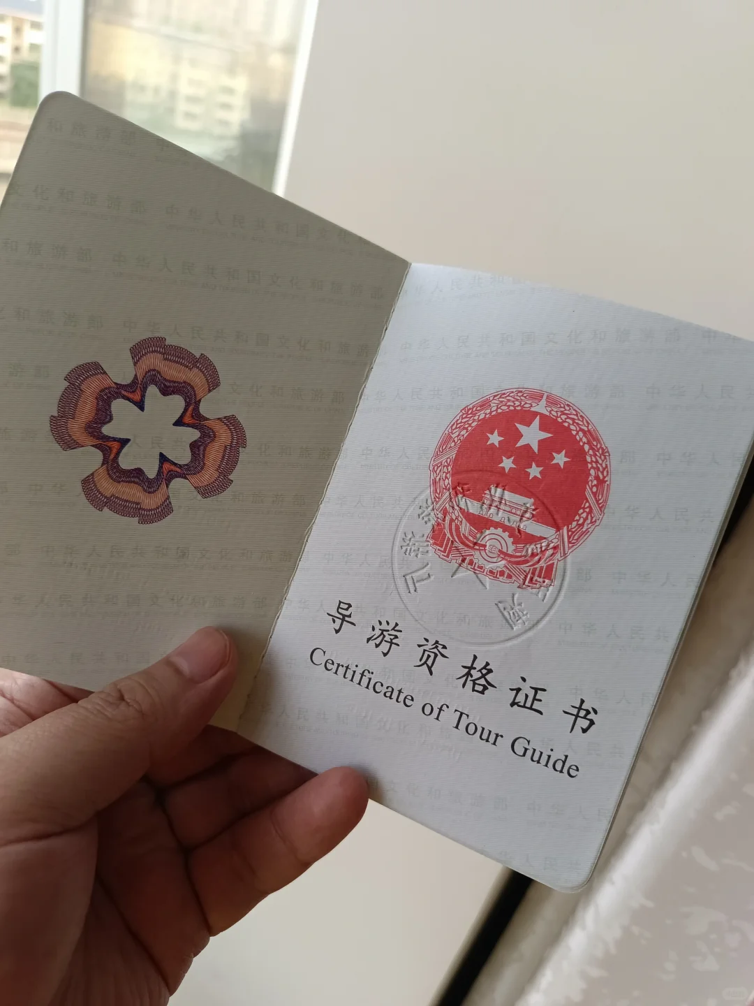 一周拿下导游资格证