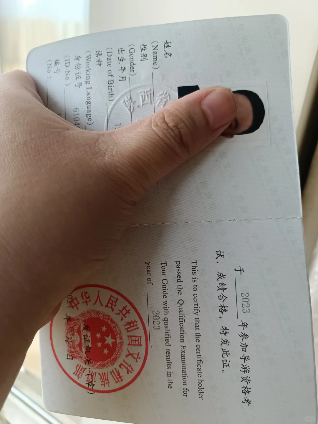 一周拿下导游资格证