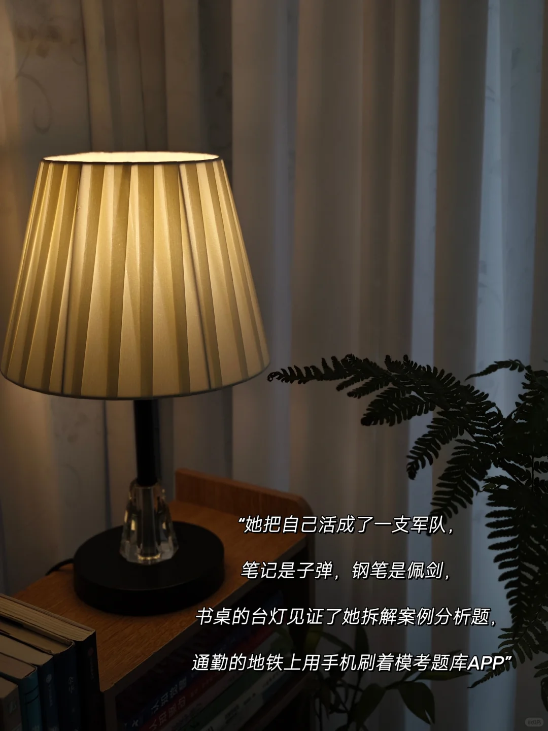 41岁中年女，5.1不放假躲在办公室里卷考证