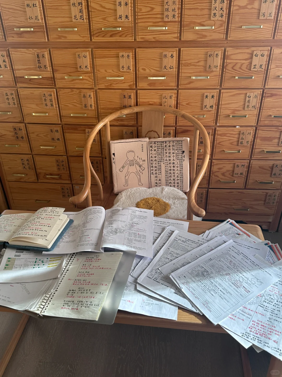 医师👩‍⚕️执业证到手✅喜提合法持证老中医☯️