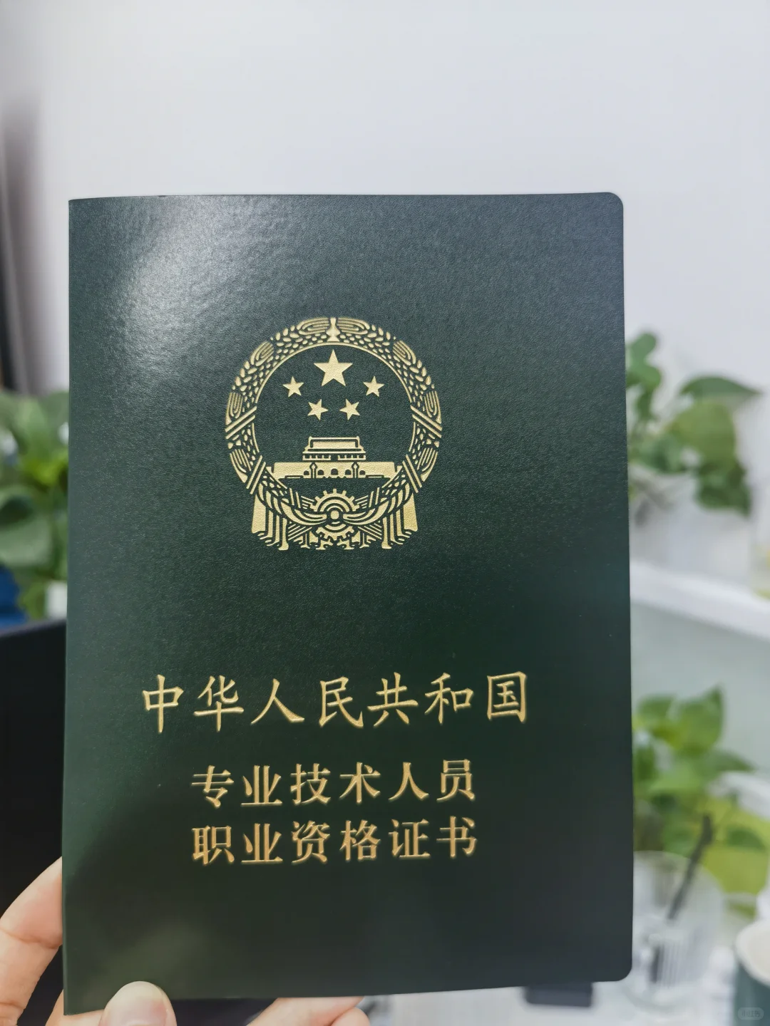 领证啦❗️人生中第一个绿本本（国徽证书）