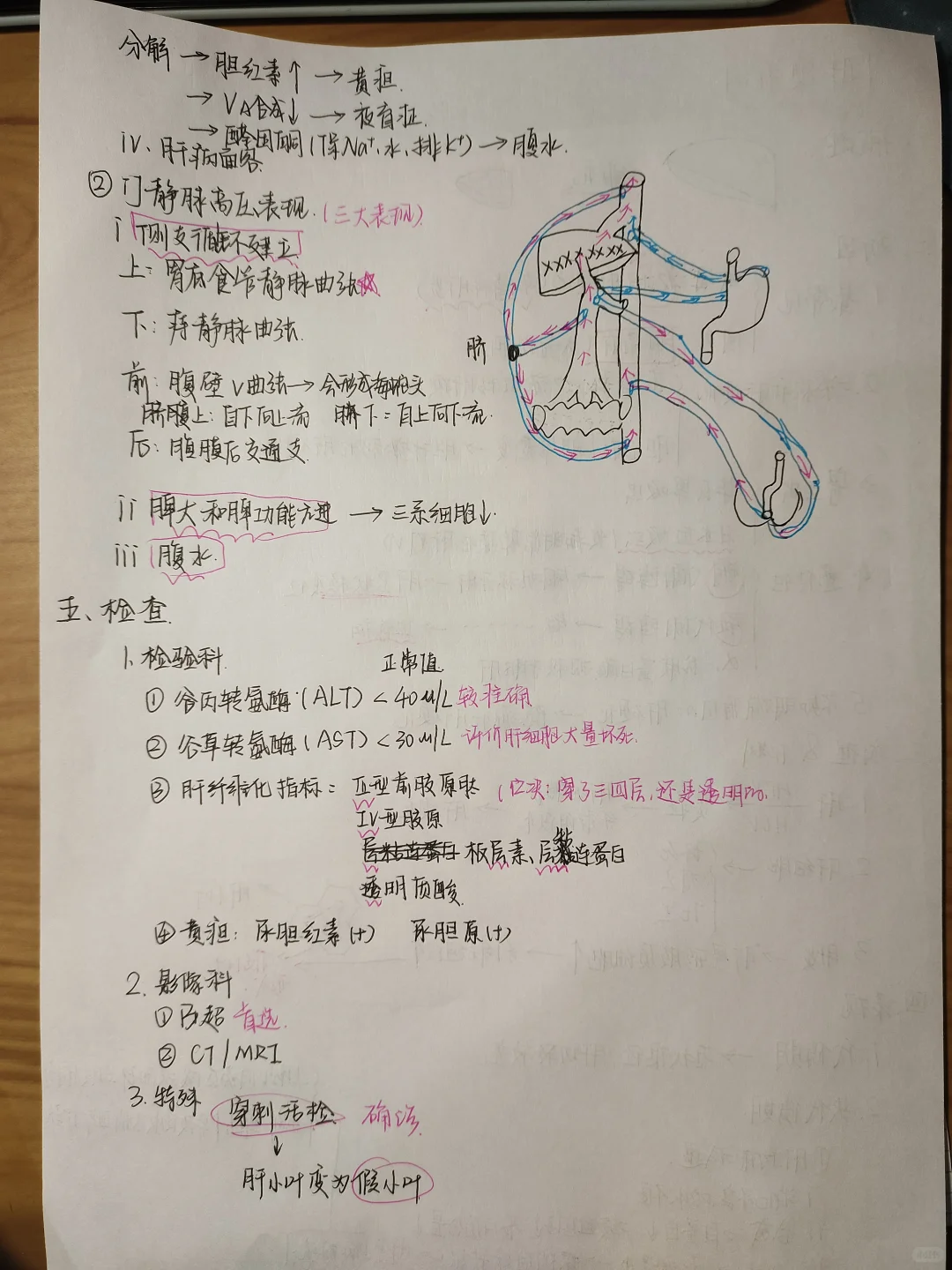 助理医师资格证消化系统（肝硬化）