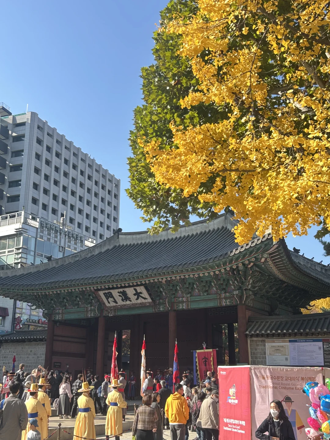 最近५✍( ¨̮ )终于取得了贸易资格证📖