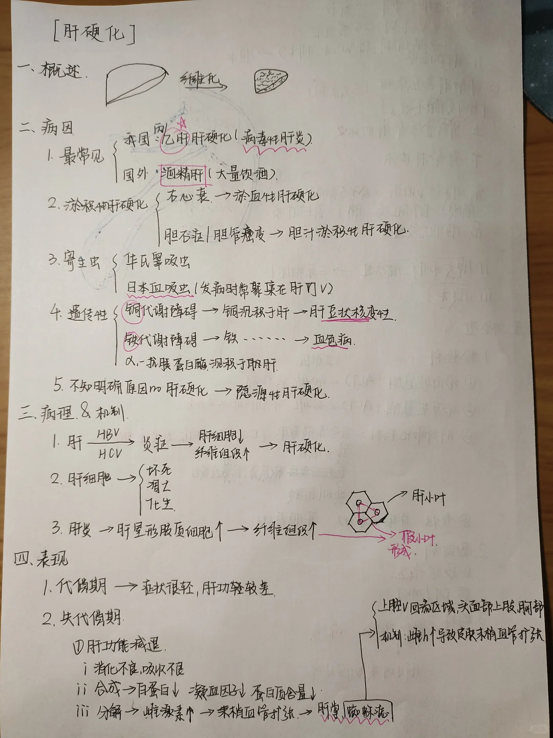 助理医师资格证消化系统（肝硬化）