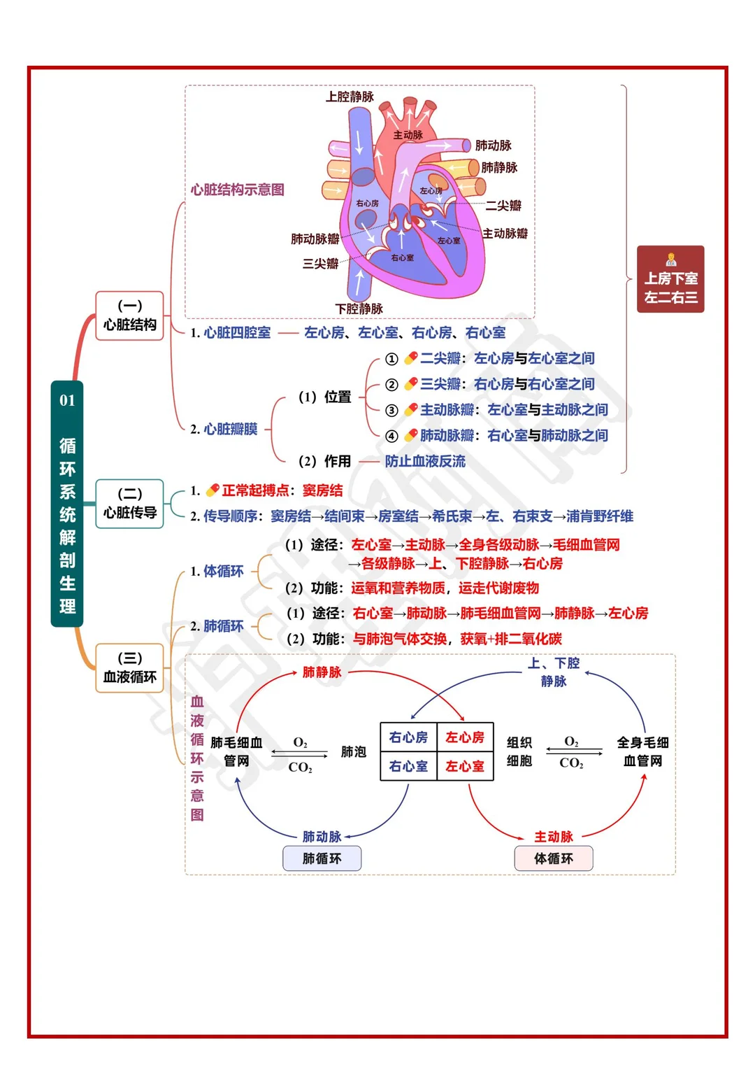 26护考速记🔥8大知识点➕思维导图