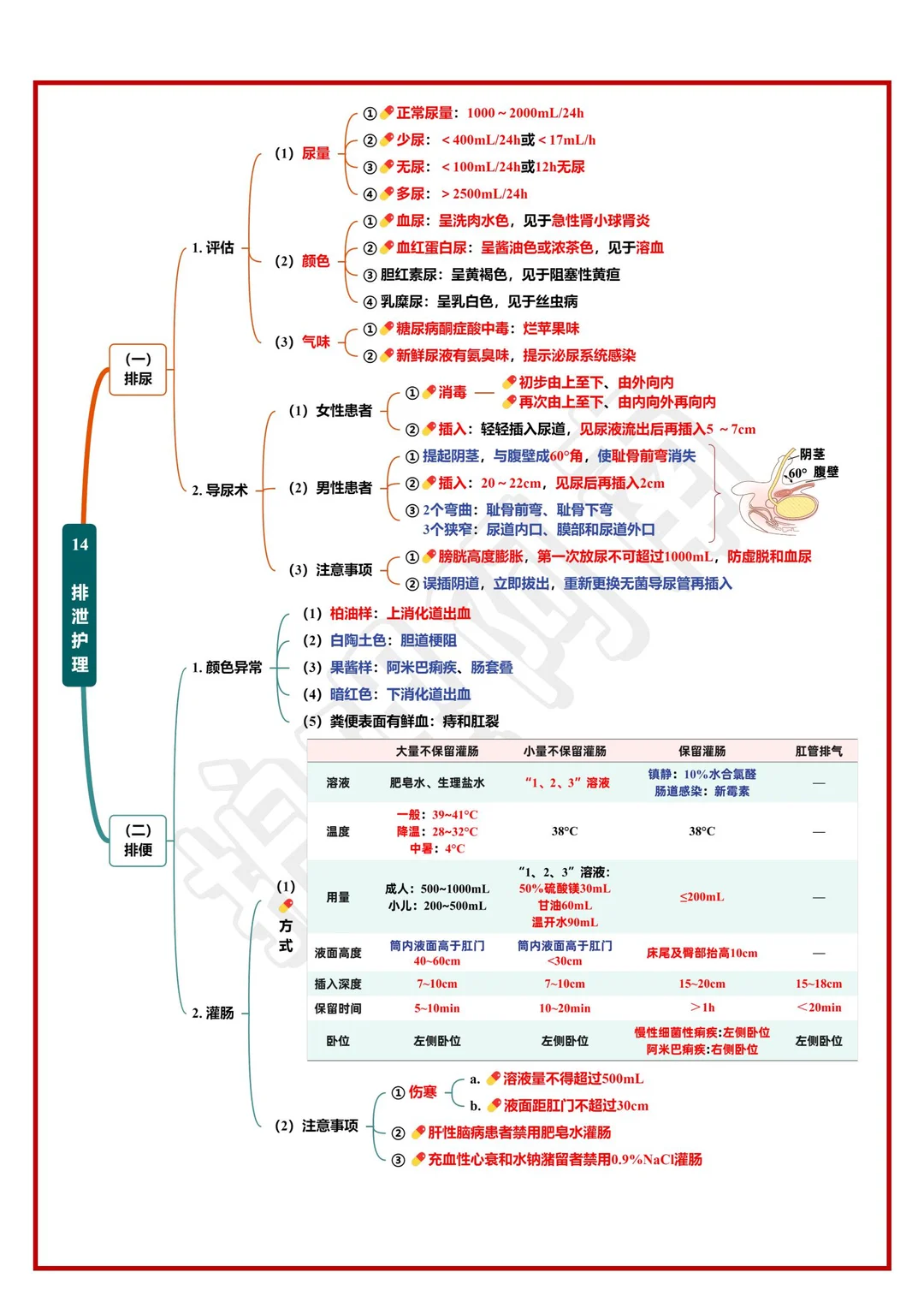 26护考速记🔥8大知识点➕思维导图