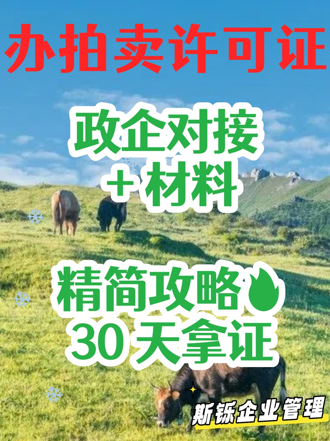 拍卖许可证提速！政企对接 + 材料精简攻略