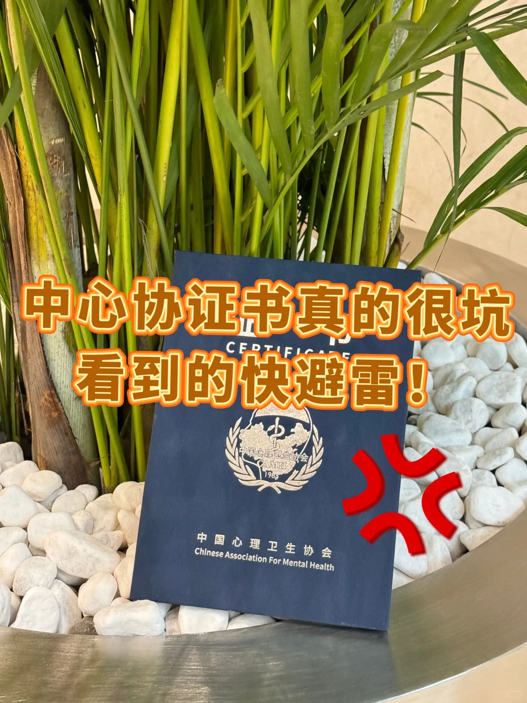 🚨考完中心协证坦白局：这些坑千万别踩！