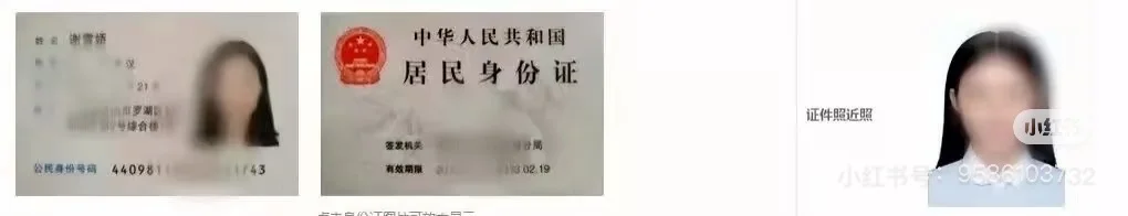 茂名市旅游协会可以免费挂靠导游证啦