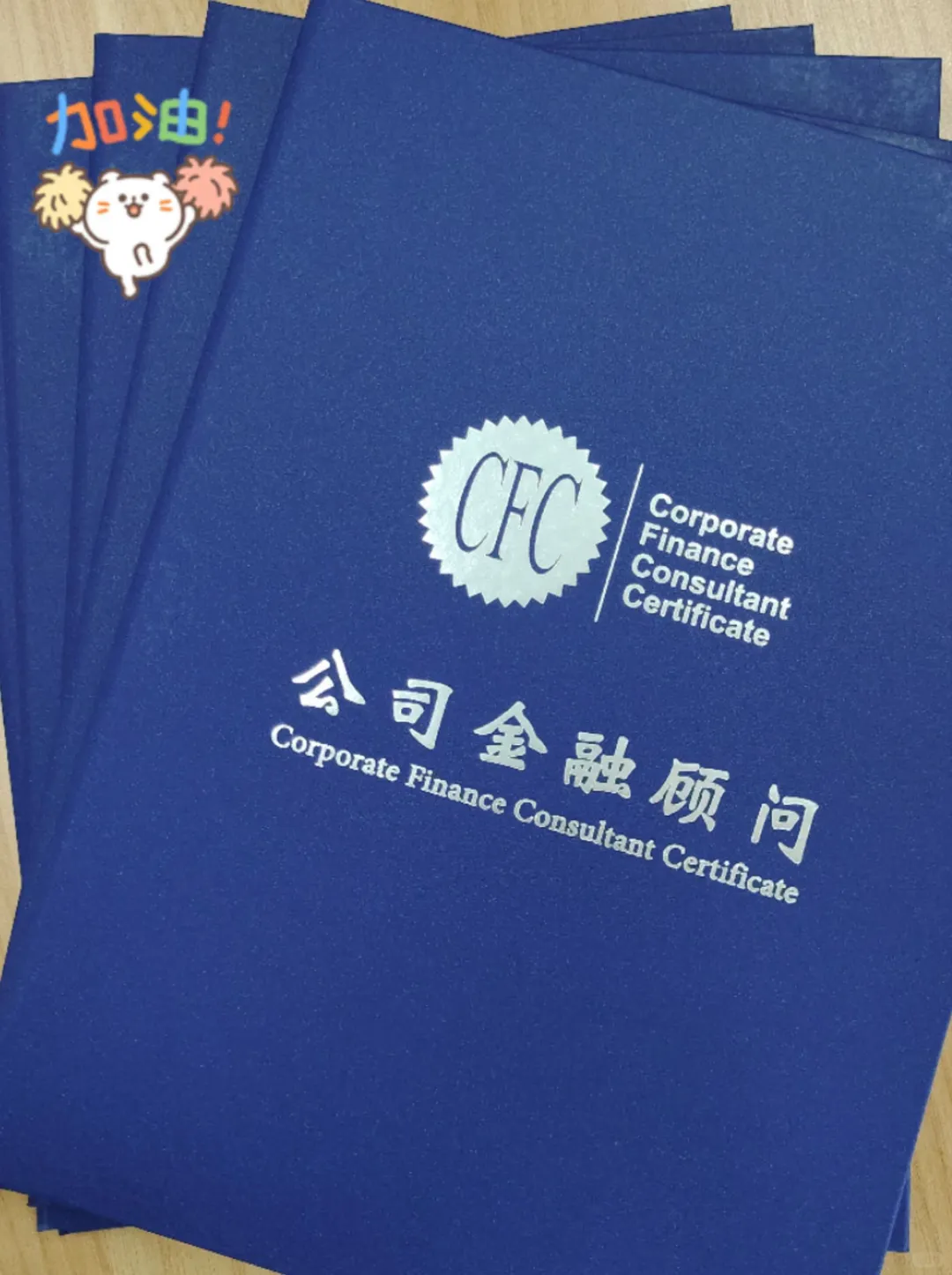 2026年1月份公司金融顾问从业资格证