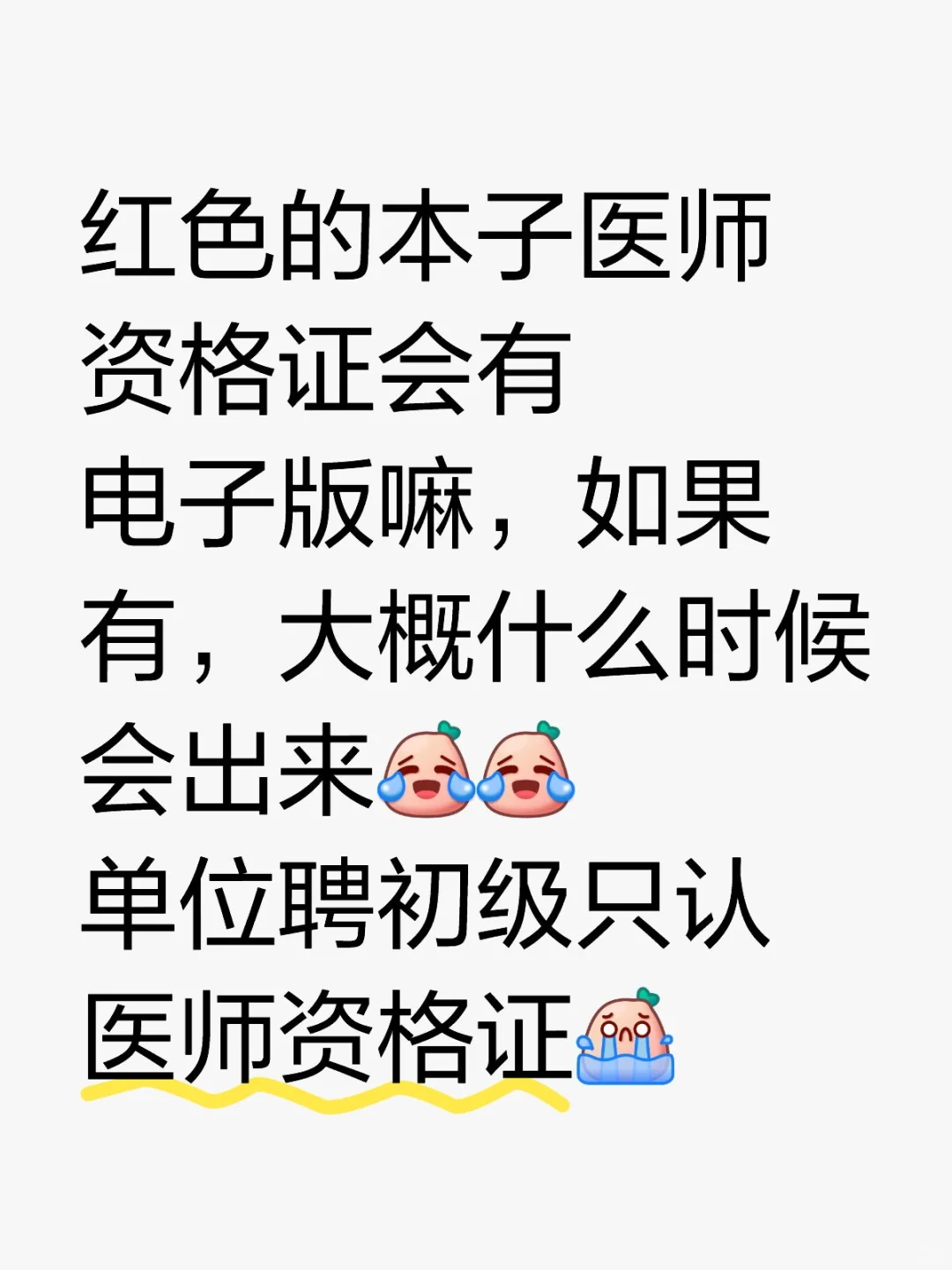 红色医师证会有电子版吗