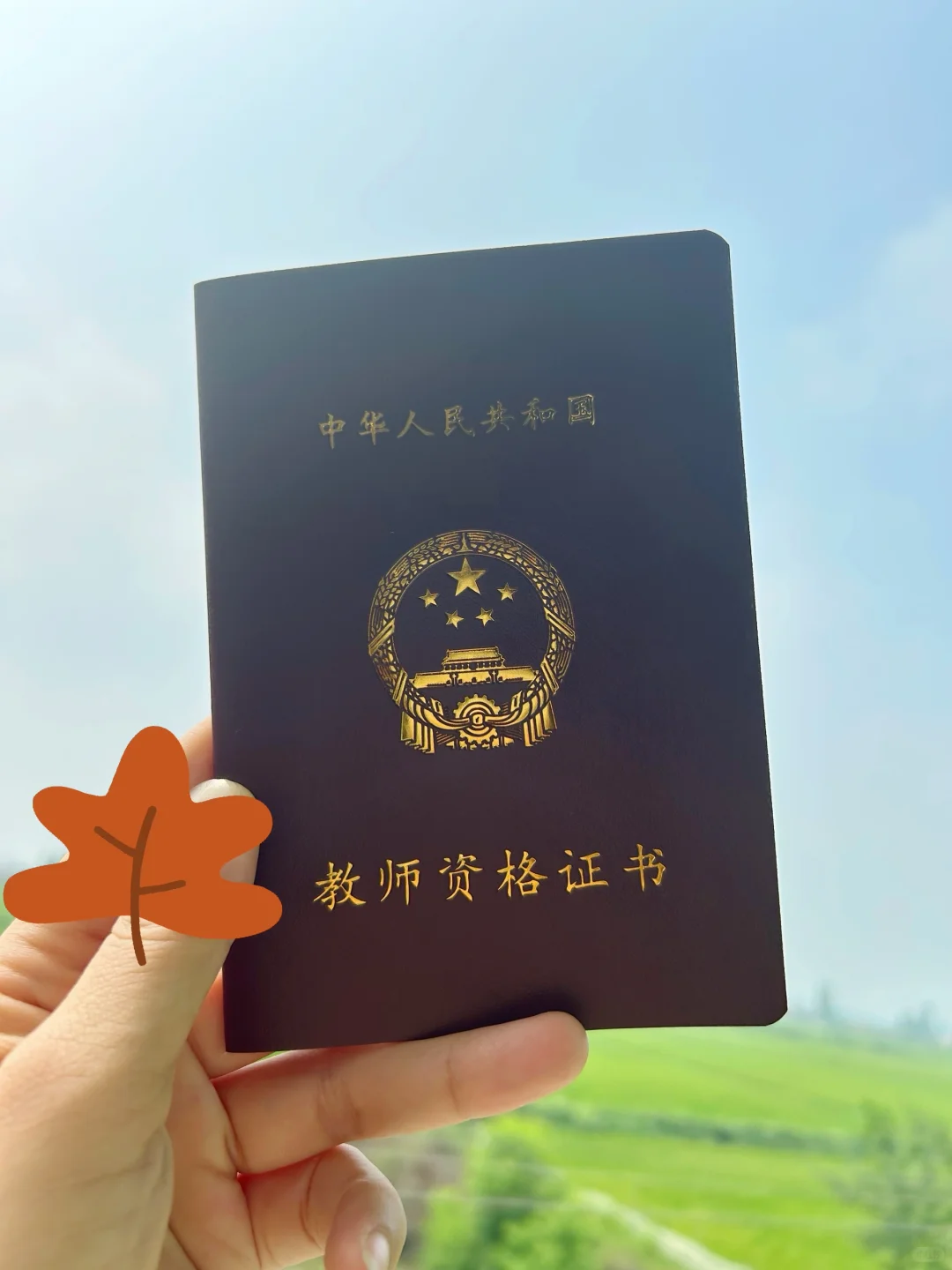 33岁，非师范专业，居然把教资考过了