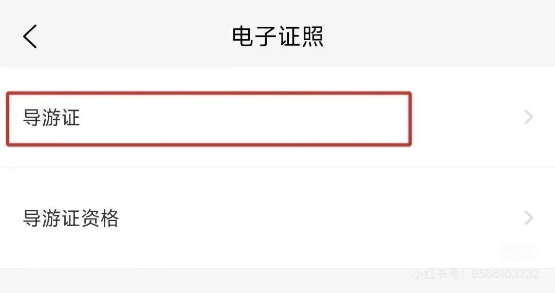 茂名市旅游协会可以免费挂靠导游证啦