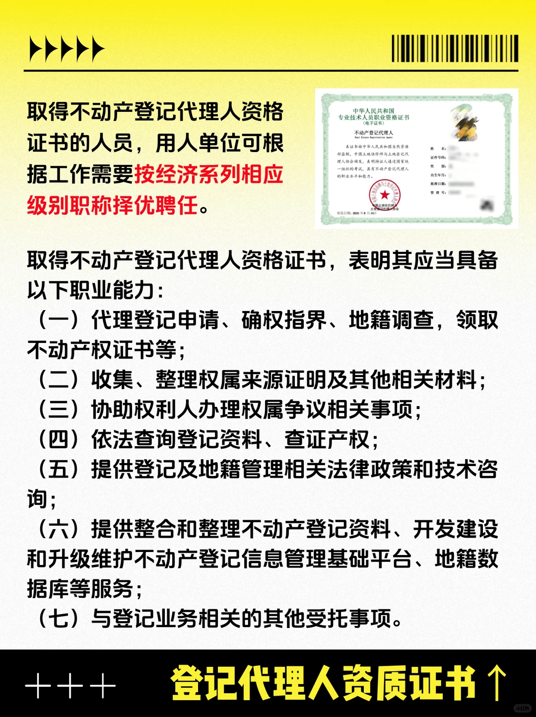 不动产登记证=行业核心力量？揭秘🔍