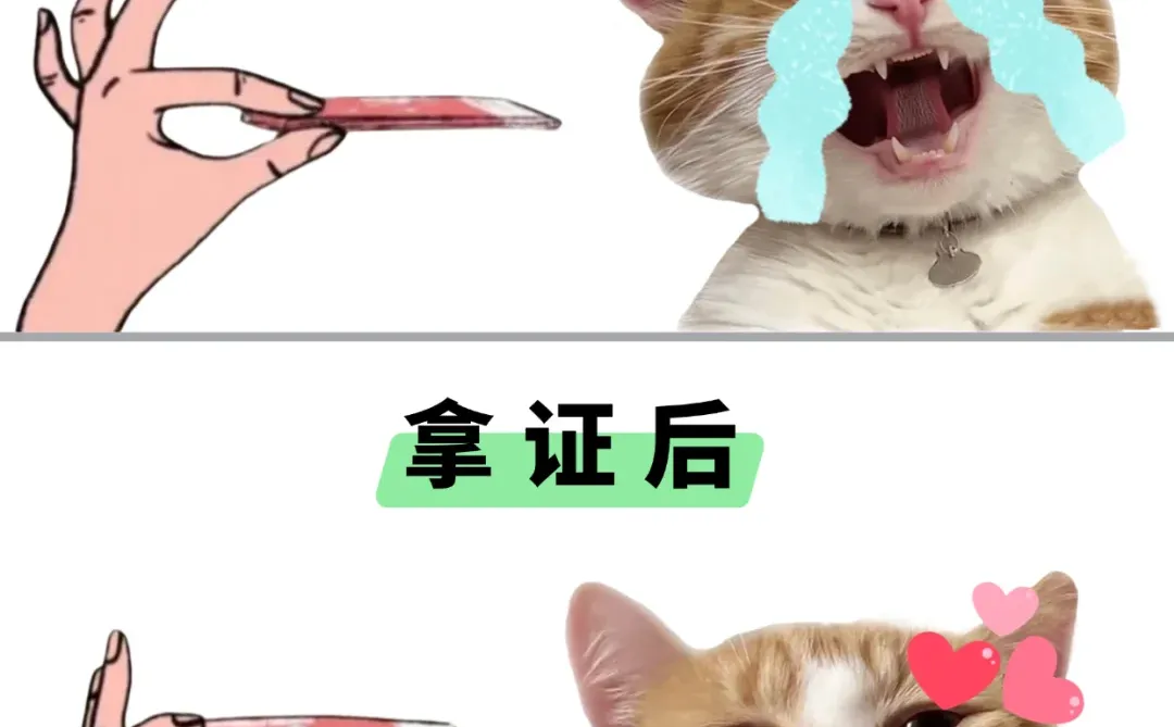 考证，是一生中最靠谱的投资