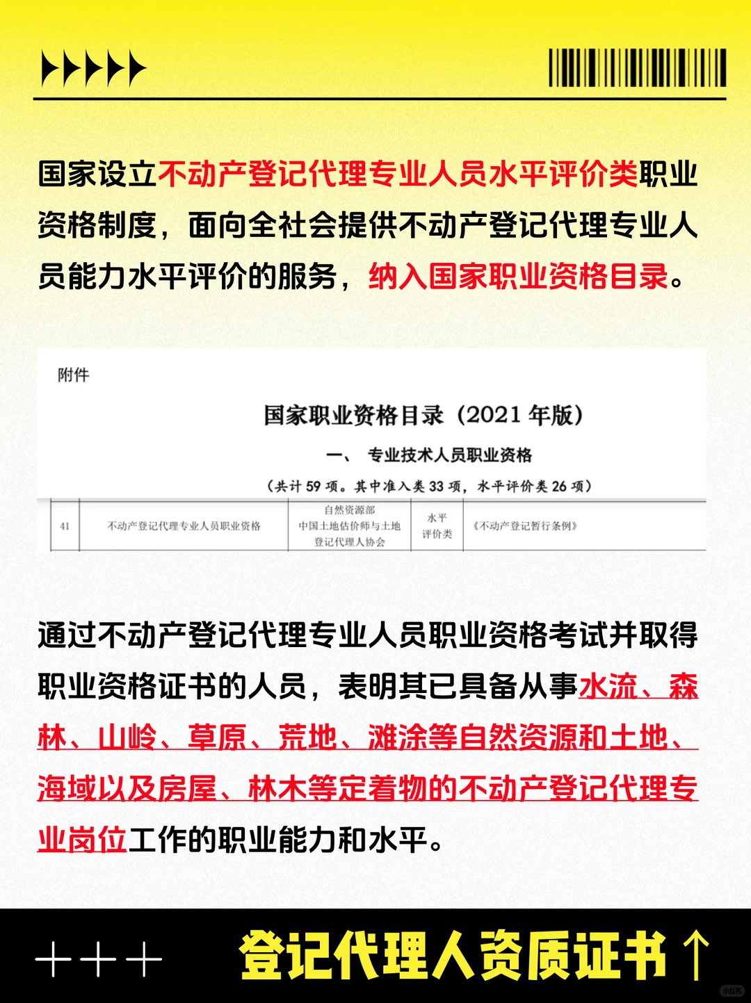不动产登记证=行业核心力量？揭秘🔍