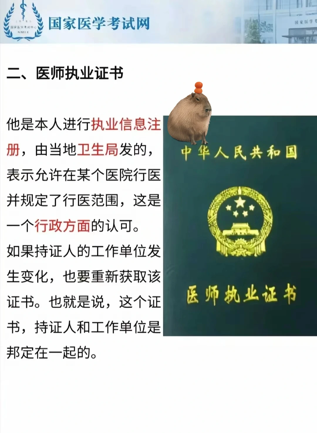 资格证和执业证的区别