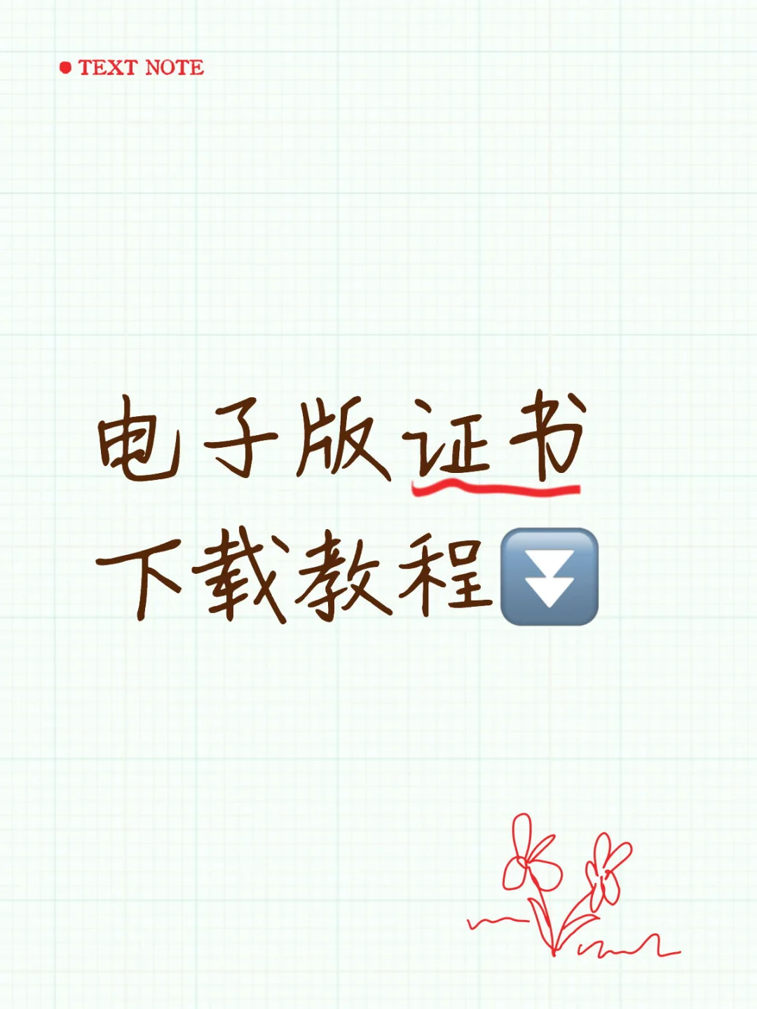 2025电子版证书下载教程来啦