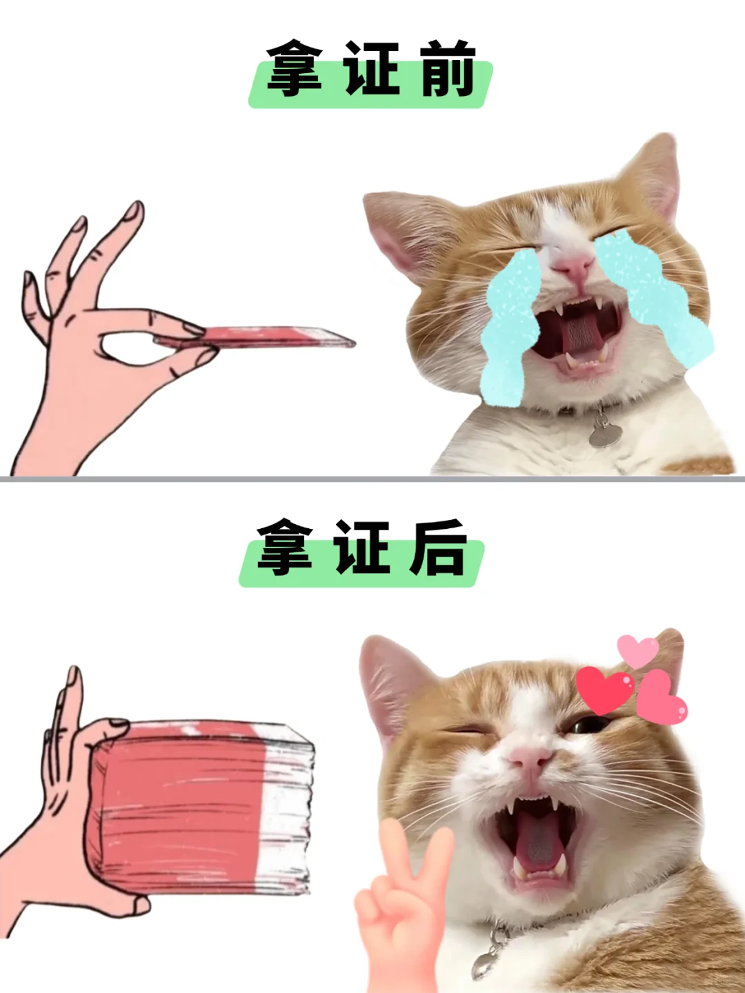 考证，是一生中最靠谱的投资