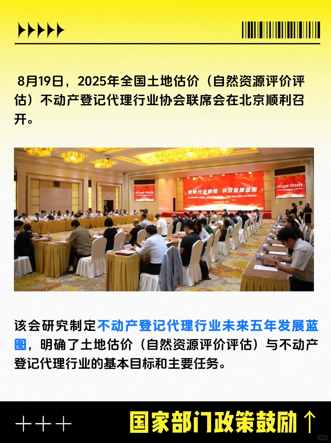 不动产登记证=行业核心力量？揭秘🔍