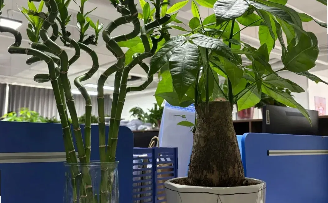 公共营养师证别瞎考😭快避雷！