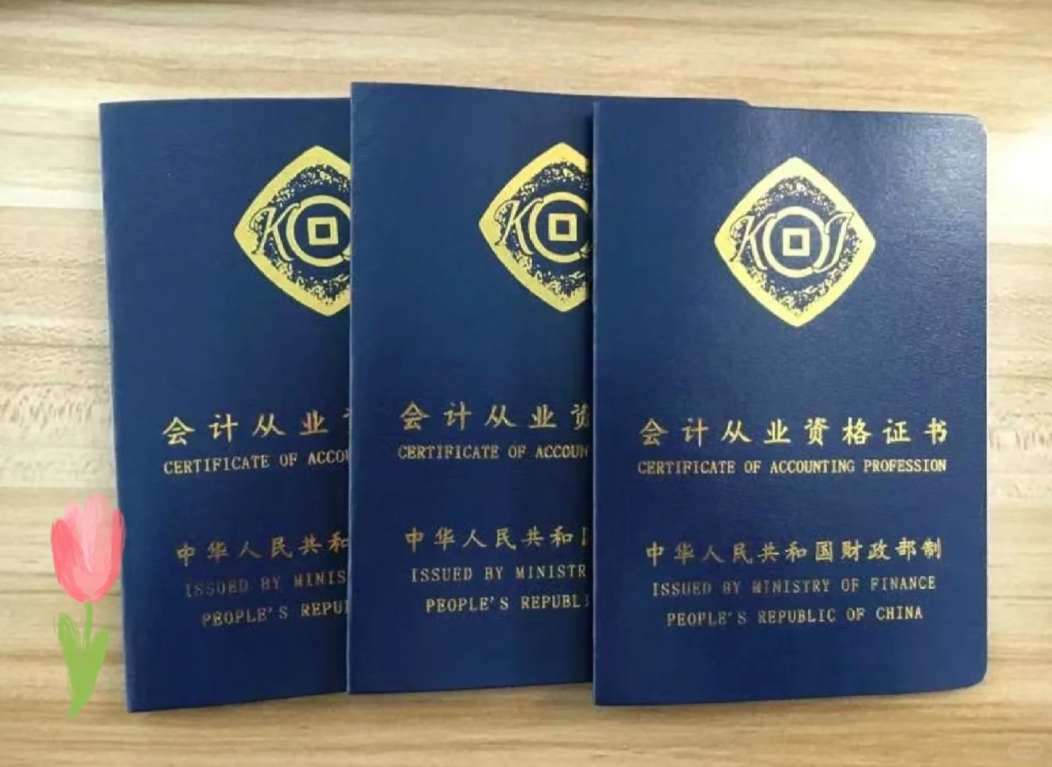 会计从业资格证有能考？停考了还可以用？