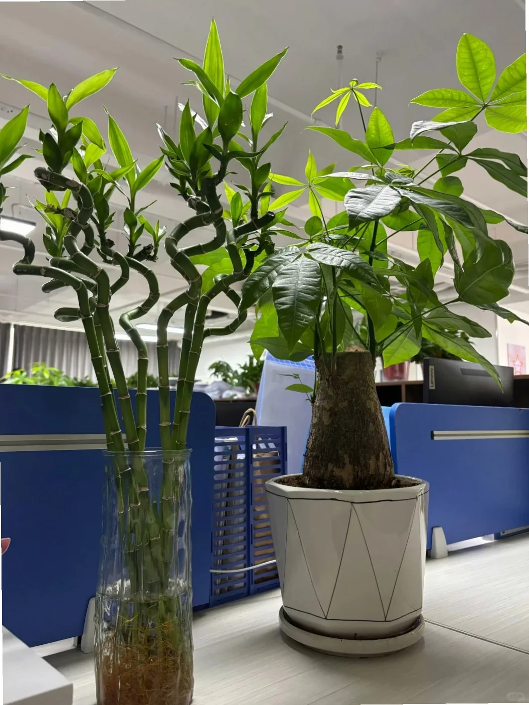 公共营养师证别瞎考😭快避雷！