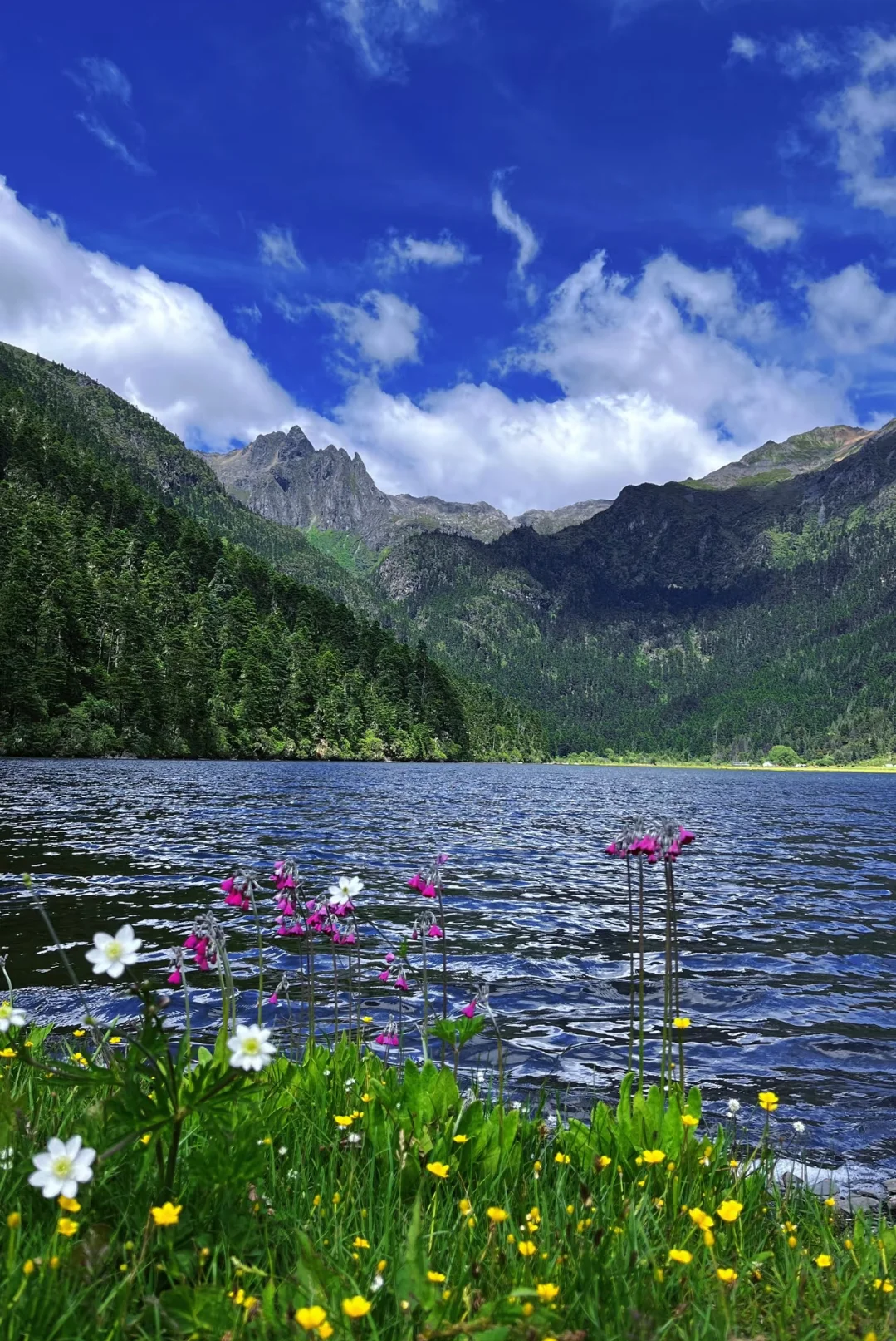 无底湖轻徒步，老人小孩都能走