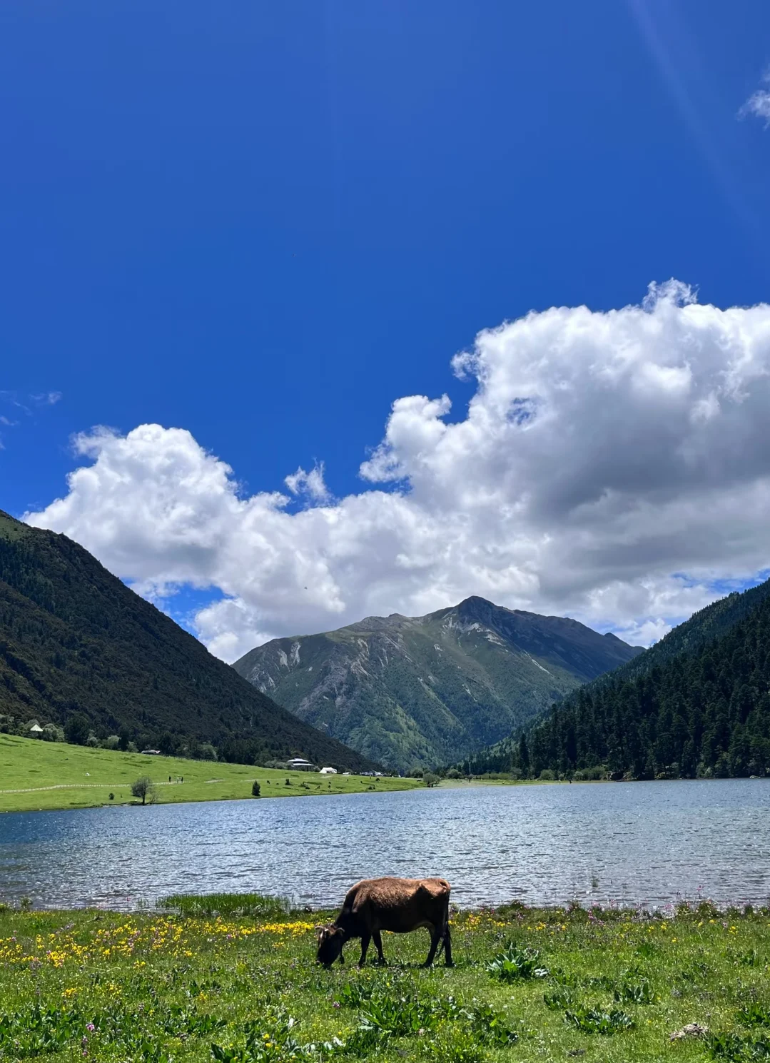 无底湖轻徒步，老人小孩都能走