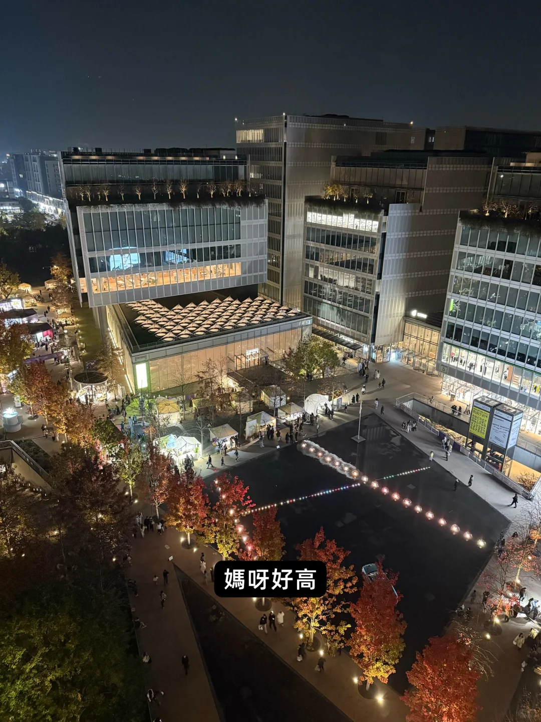 第 N 次天目里散步| 入住夢想樹景工作室