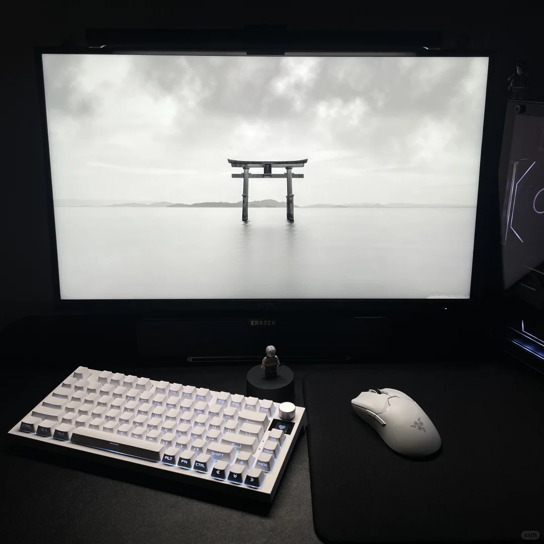 也许这方寸屏幕中才是属于我的世界