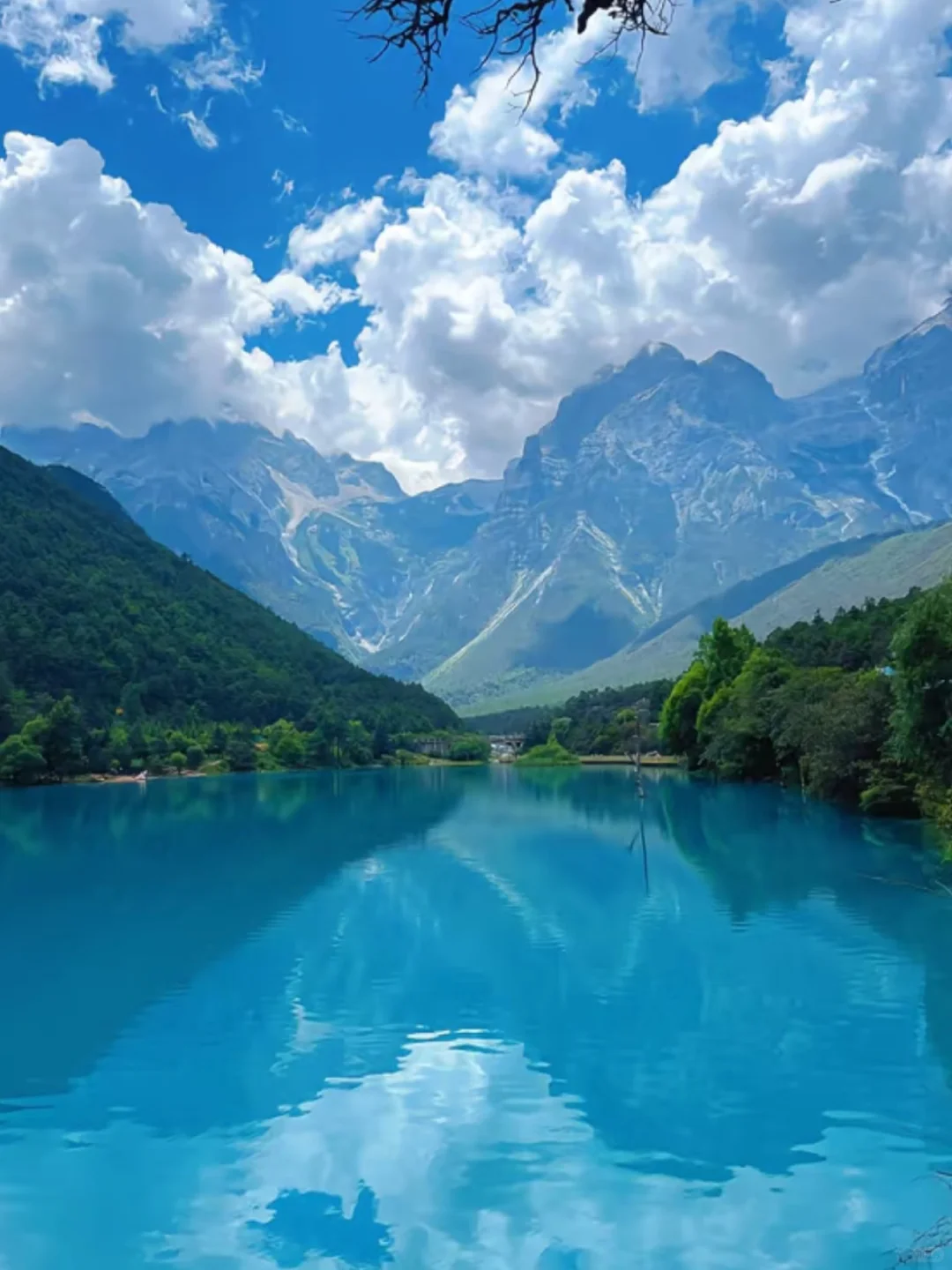 牦牛坪云杉坪蓝月谷才是玉龙雪山隐藏天花板