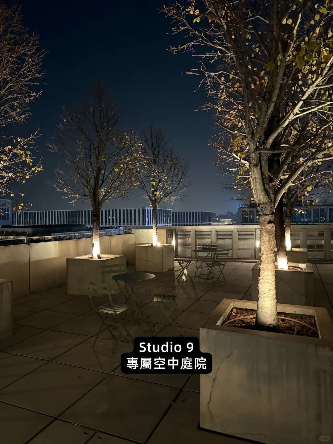 第 N 次天目里散步| 入住夢想樹景工作室