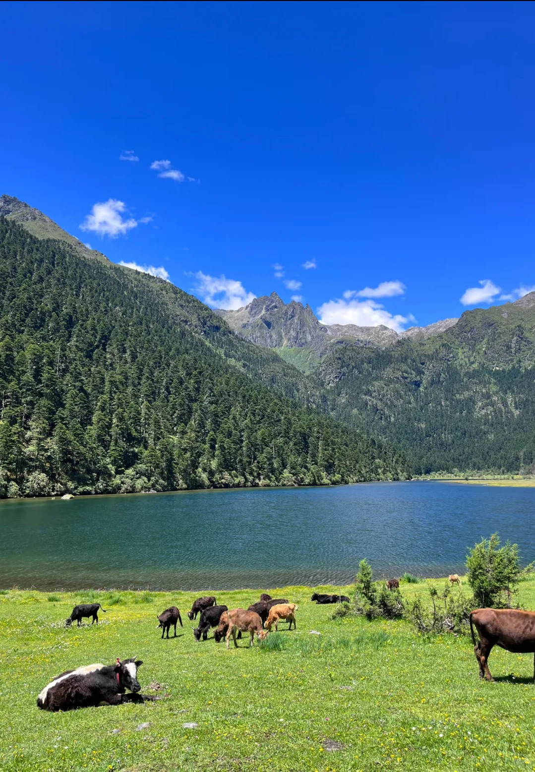 无底湖轻徒步，老人小孩都能走