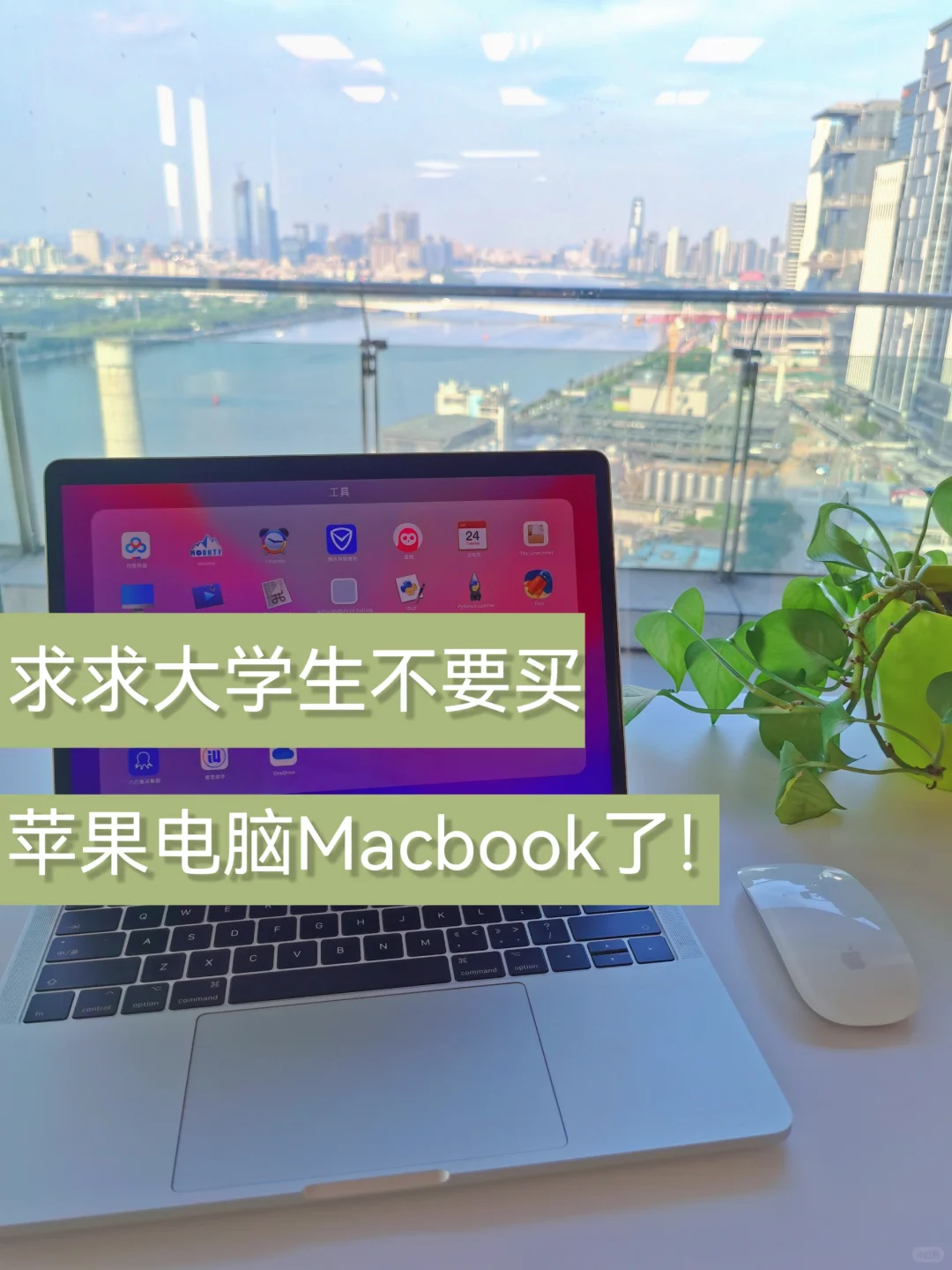 准大学生买电脑，到底选Mac还是Win