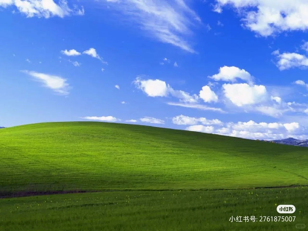 Windows壁纸2