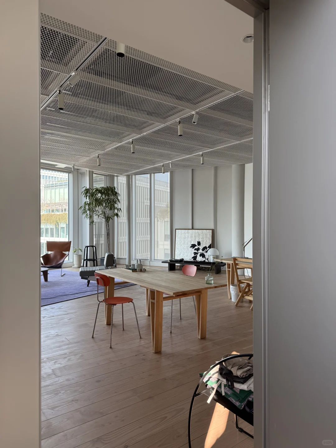 第 N 次天目里散步| 入住夢想樹景工作室