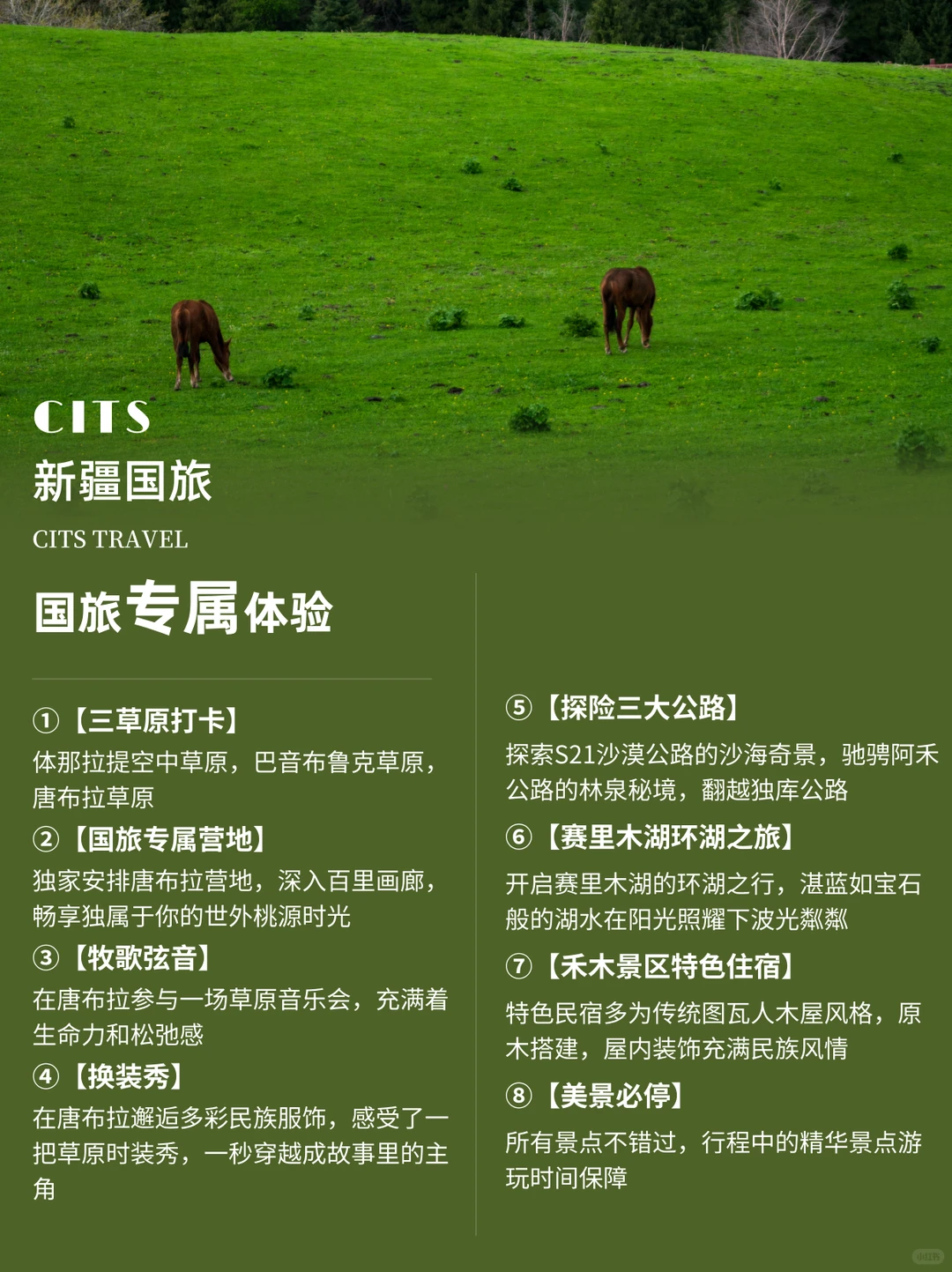 新疆10日游后遗症：看啥都像Windows桌面