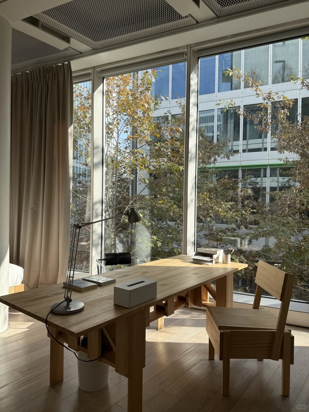 第 N 次天目里散步| 入住夢想樹景工作室