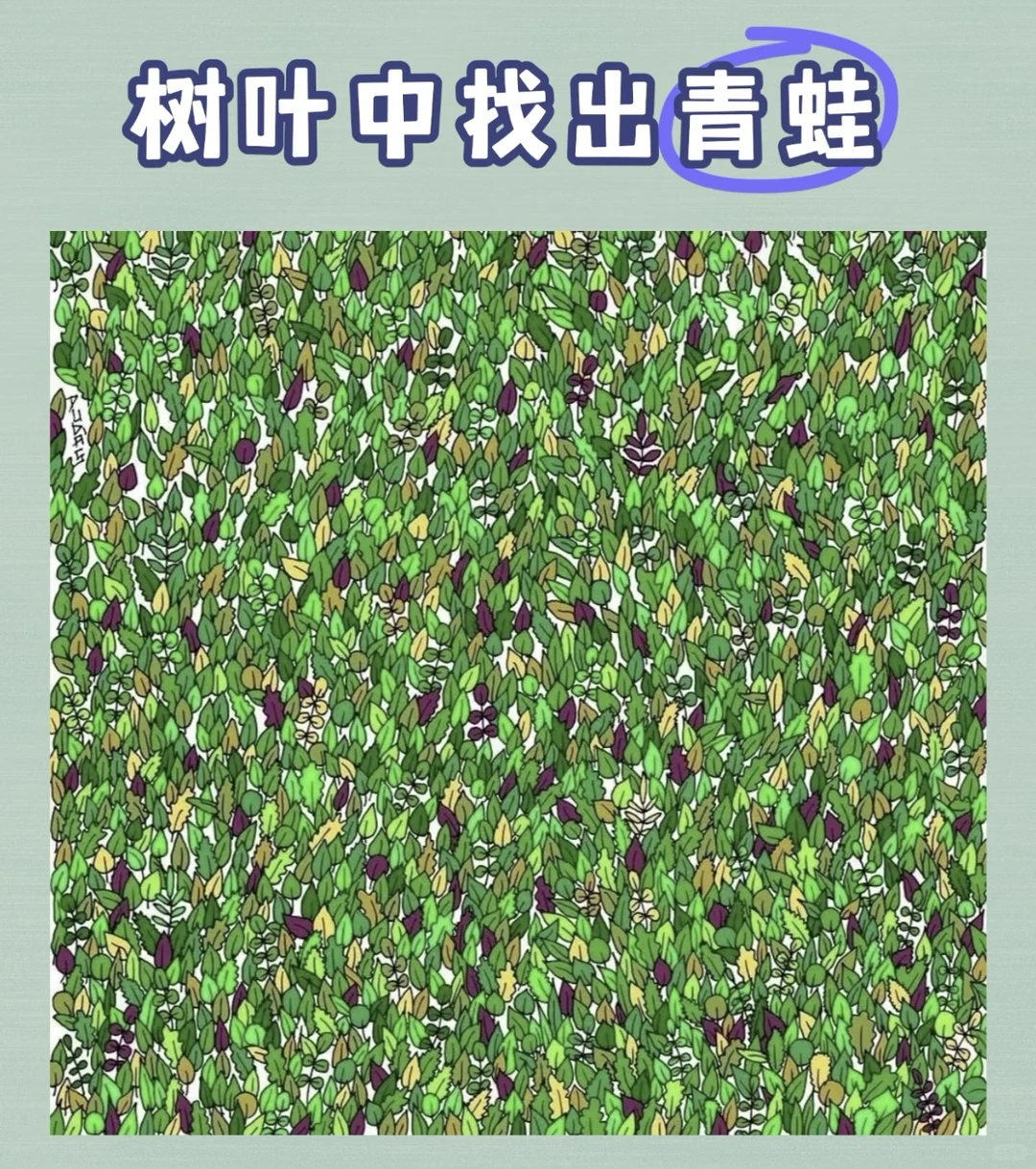 大家一起来找茬