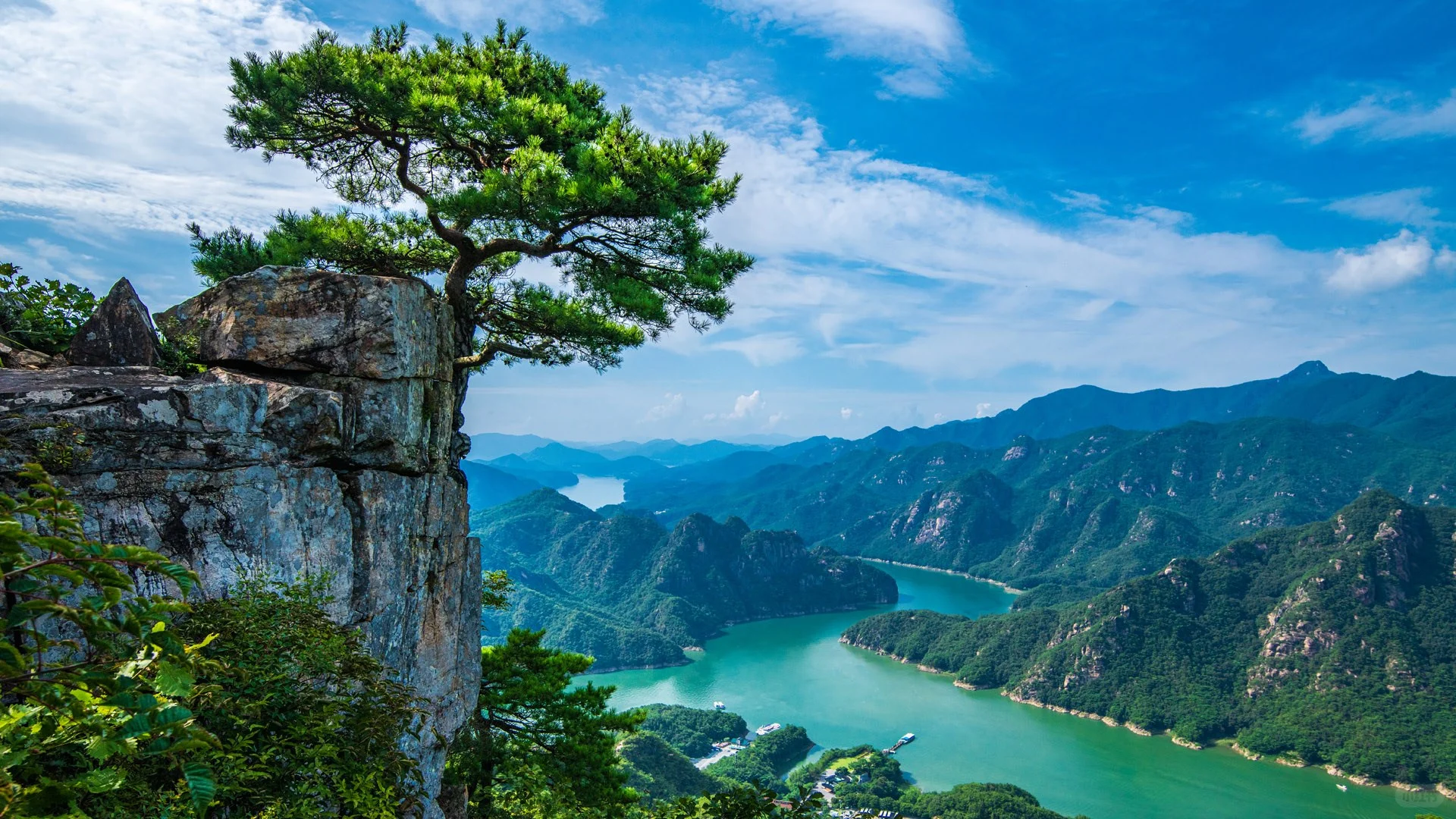 壁纸搬运（11.23-11.29）