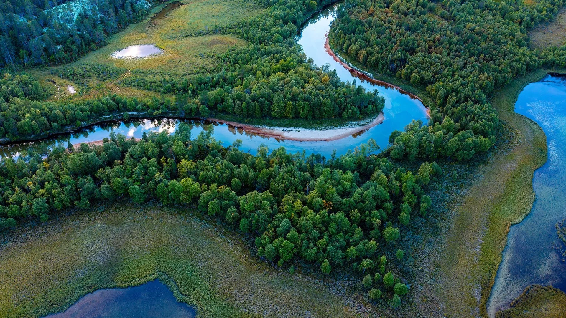 壁纸搬运（11.23-11.29）