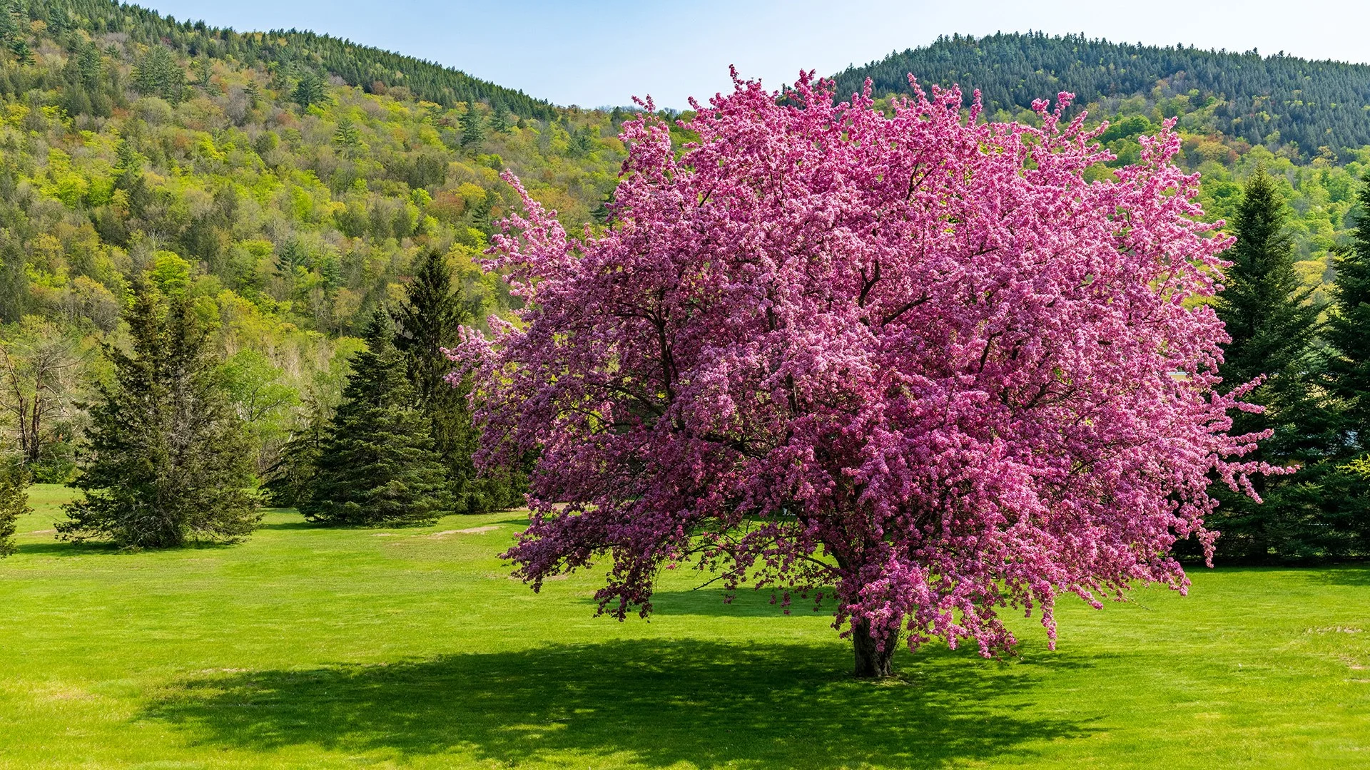 壁纸搬运（11.23-11.29）