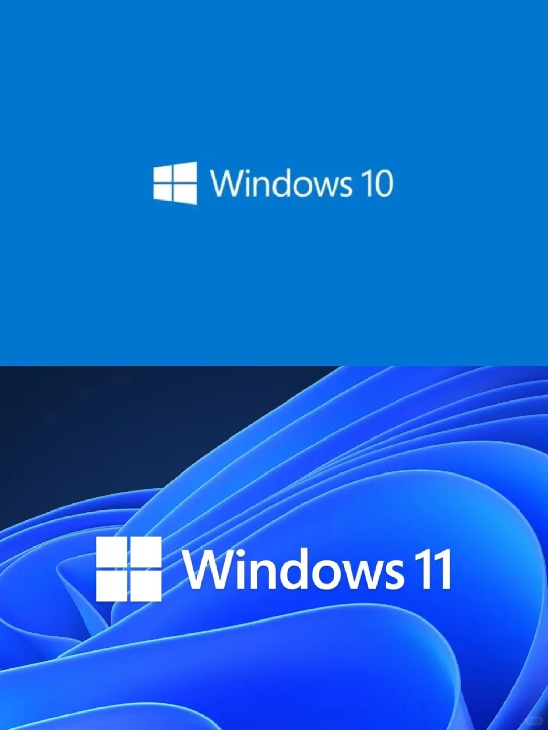 电脑该装Win10系统还是Win11系统？