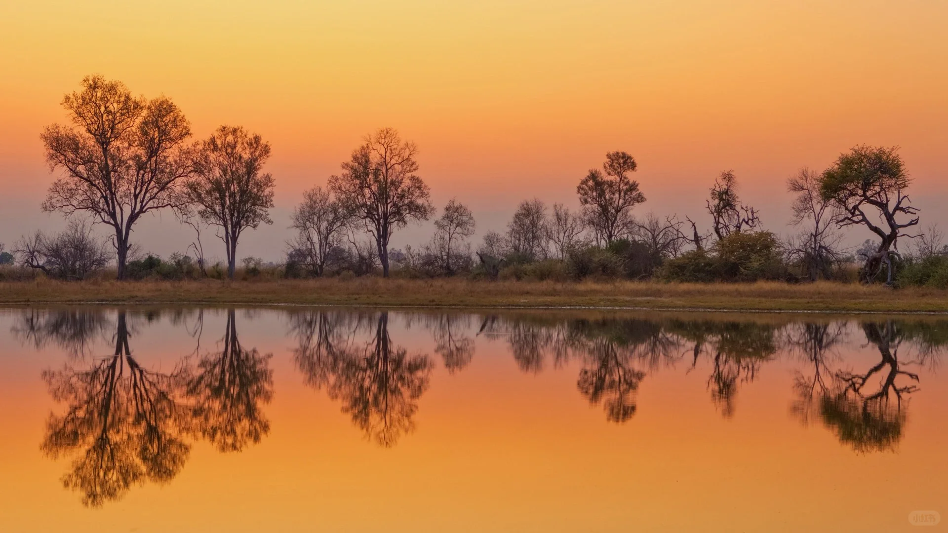 windows聚焦壁纸可以这样找到！