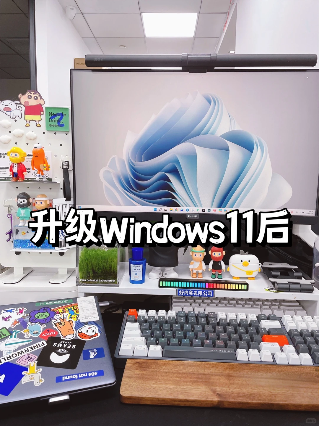 升级Win11确实好看多了