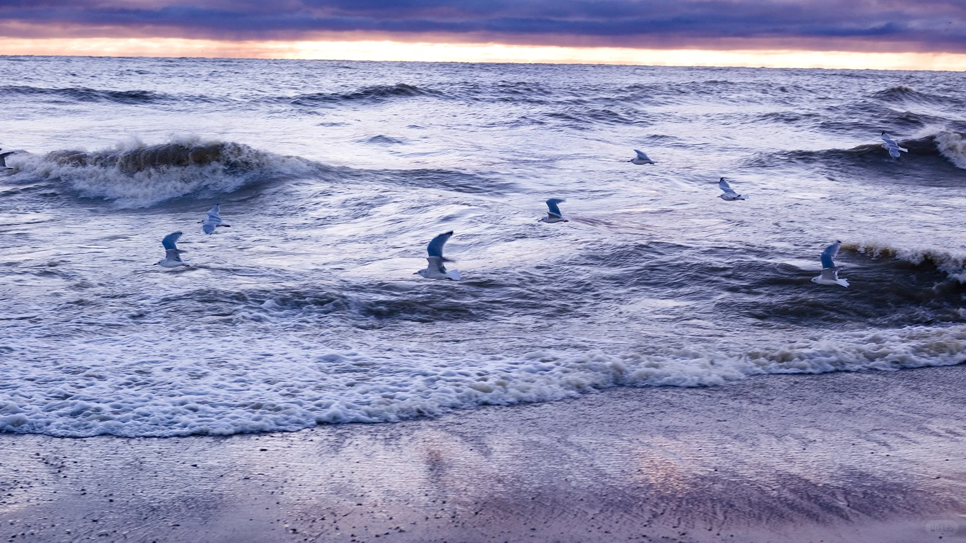 壁纸搬运（11.23-11.29）