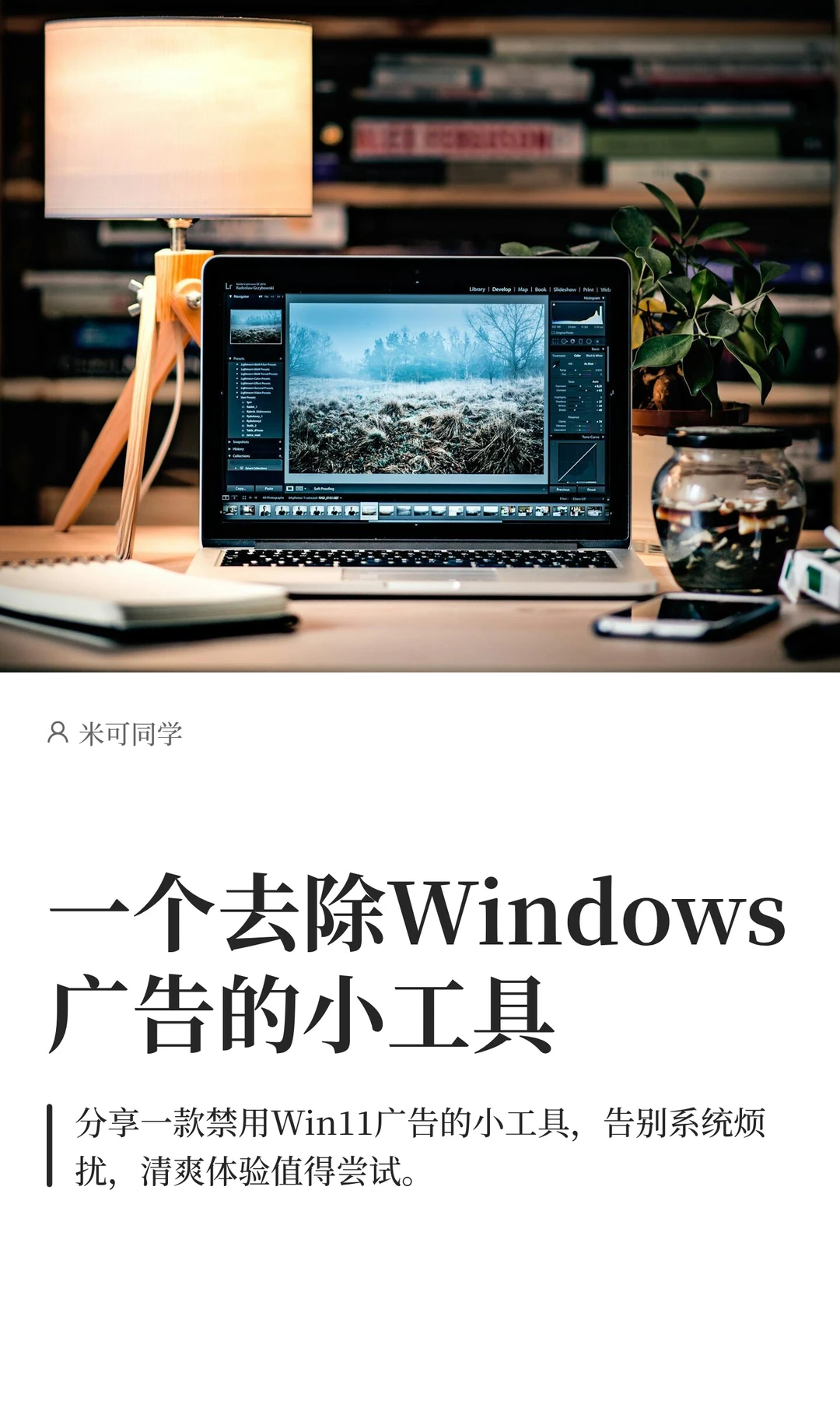 一个去除Windows广告的小工具
