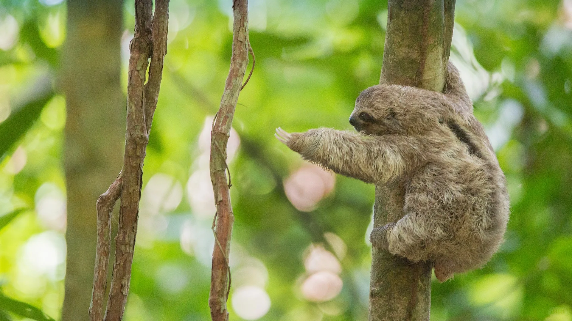 壁纸搬运（11.23-11.29）