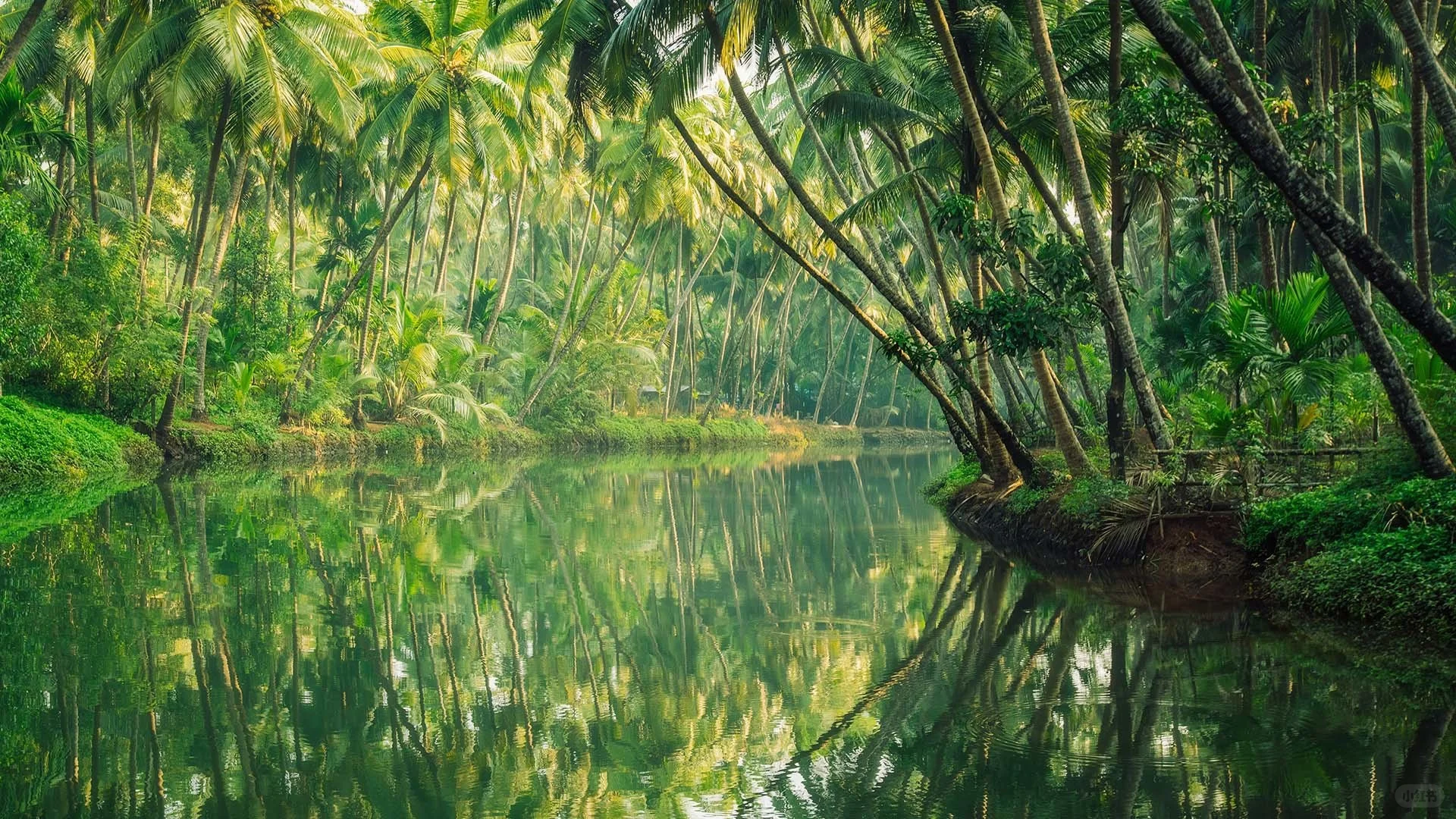 壁纸搬运（11.23-11.29）